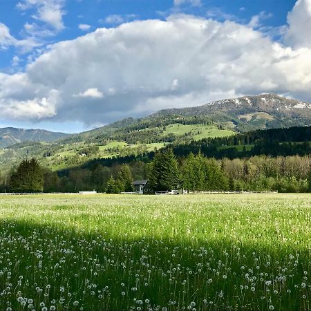 Traumhafte Wohnung Auf Pferde Ranch Aich  Exterior foto