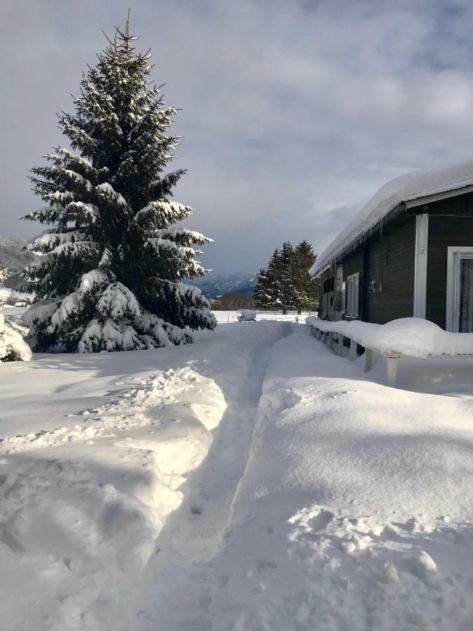 Traumhafte Wohnung Auf Pferde Ranch Aich  Exterior foto